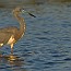 thumbs/IMG_0928.jpg